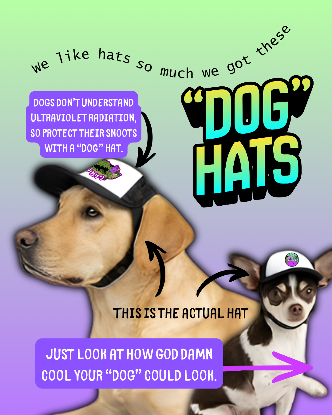 Big Fish! “Dog” Hat